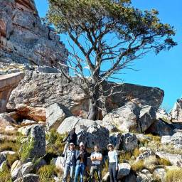 Some of the field team with a Clanwilliam cedar tree